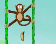 Jungle spider monkey pókember játékok