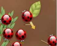 Spider Bugs online